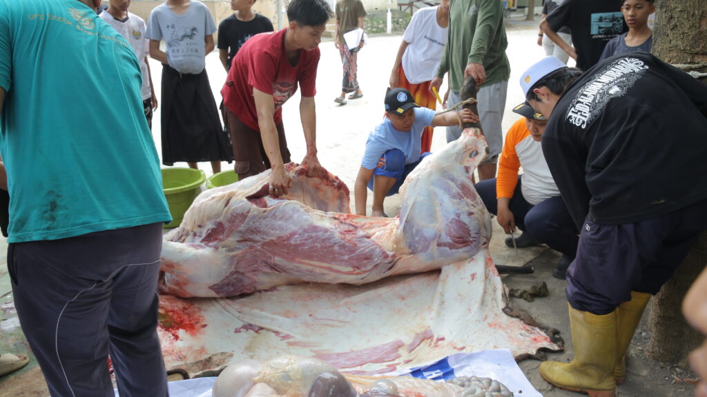 Pondok Pesantren Bahrul Maghfiroh Malang Gelar Penyembelihan Hewan Qurban